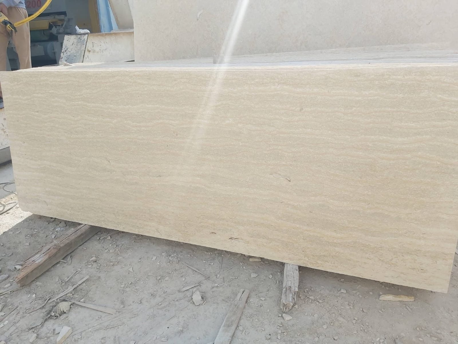 Silvia Limestone