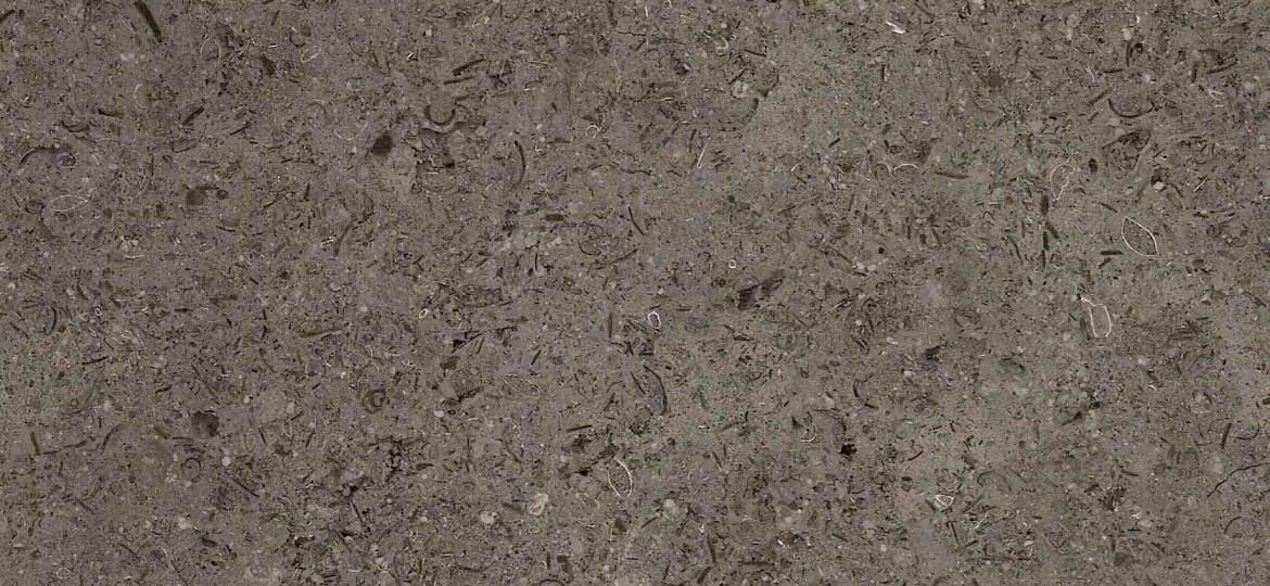 Triesta Grey Limestone